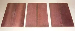 Chico Zapote, Breiapfelbaum Folder-Griffschalen 120 x 40 x 4 mm