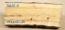 Sd026 Sea-Buckthorn Log Cutoff 165 x 65 x 43 mm