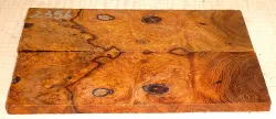 2356 Desert Ironwood Burl Scales 120 x 40 x 6 mm