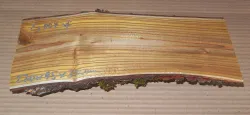 Eg004 Staghorn Sumac Log Cut Off 270 x 95 x 30 mm