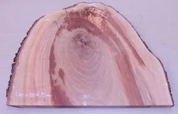 Md115 Almond Tree Wood Decorative Board 430 x 380 x 23 mm