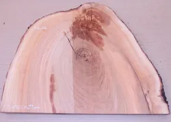 Md116 Almond Tree Wood Decorative Board 450 x 380 x 23 mm