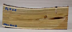 Eg013 Staghorn Sumac Log Section 340 x 110 x 55 mm