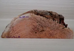 Eu034 River Red Gum, roter Eukalyptus Dekostück 430 x 140 x 18 mm