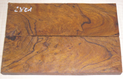 2481 Desert Ironwood Burl Scales 134 x 45 x 8 mm