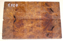2807 Desert Ironwood Burl Scales 134 x 45 x 8 mm