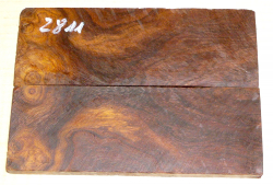 2811 Desert Ironwood Burl Scales 134 x 45 x 8 mm