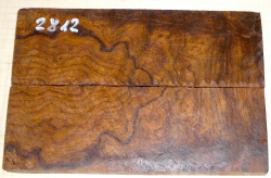 2812 Desert Ironwood Burl Scales 134 x 45 x 8 mm