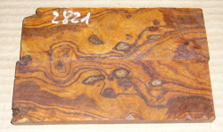 2821 Wüsteneisenholz Maser Griffschalen 134 x 45 x 8 mm