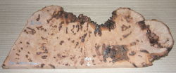 Bc020 Beech, Copper Beech Decorative Burl Slice 410 x 140 x 20 mm