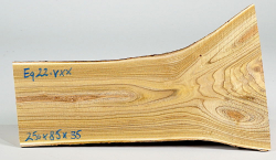 Eg022 Staghorn Sumac Log Section 250 x 85 x 35 mm
