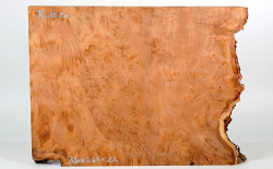 Re020 Redwood Burl, Sequoia Vavona Burl Small Board 330 x 265 x 22 mm
